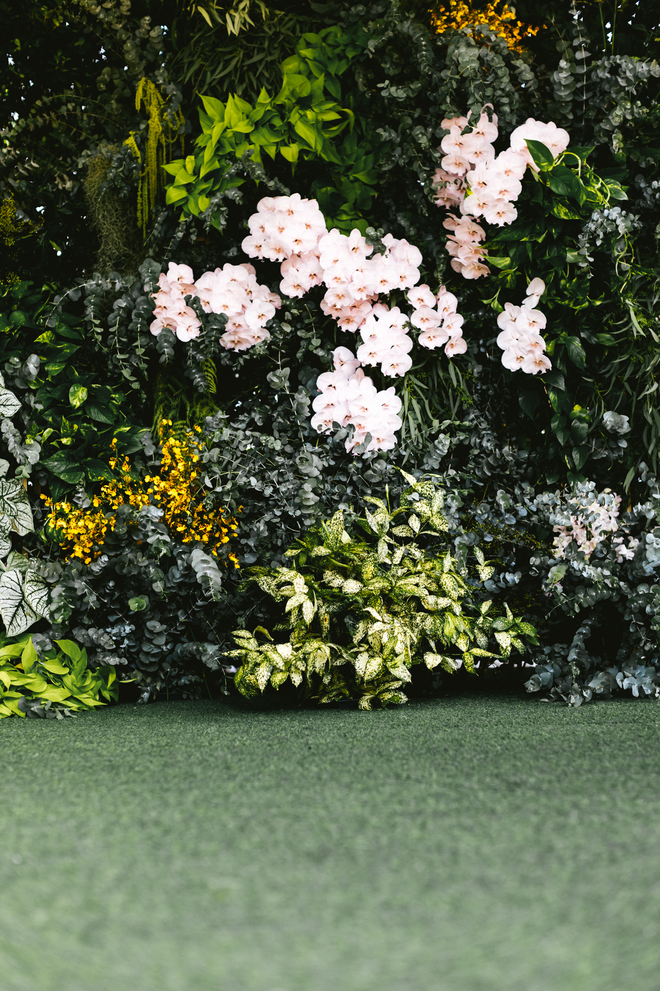 Image 5b74f2e4-6c1c-4c77-b5e0-eac1d32cf078